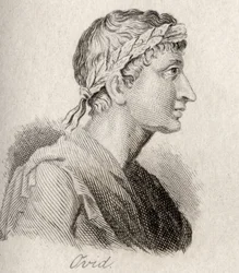 Ovid